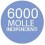 6000molle